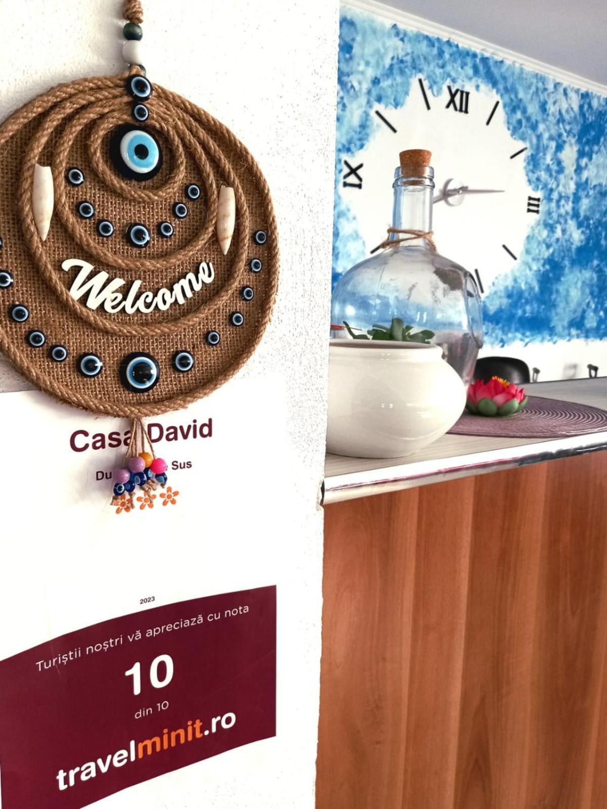 Casa David Hotel Dunavatu de Sus ภายนอก รูปภาพ
